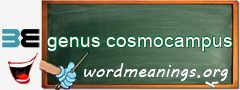 WordMeaning blackboard for genus cosmocampus